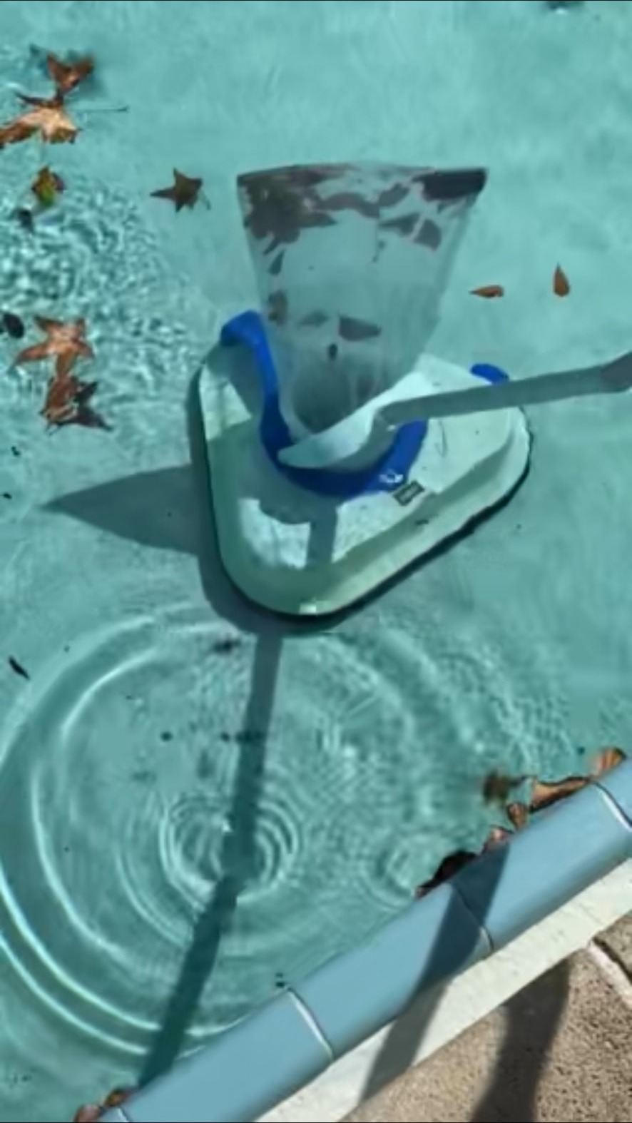 Early hand-built StingWave proof of concept operating in a leaf-filled swimming pool