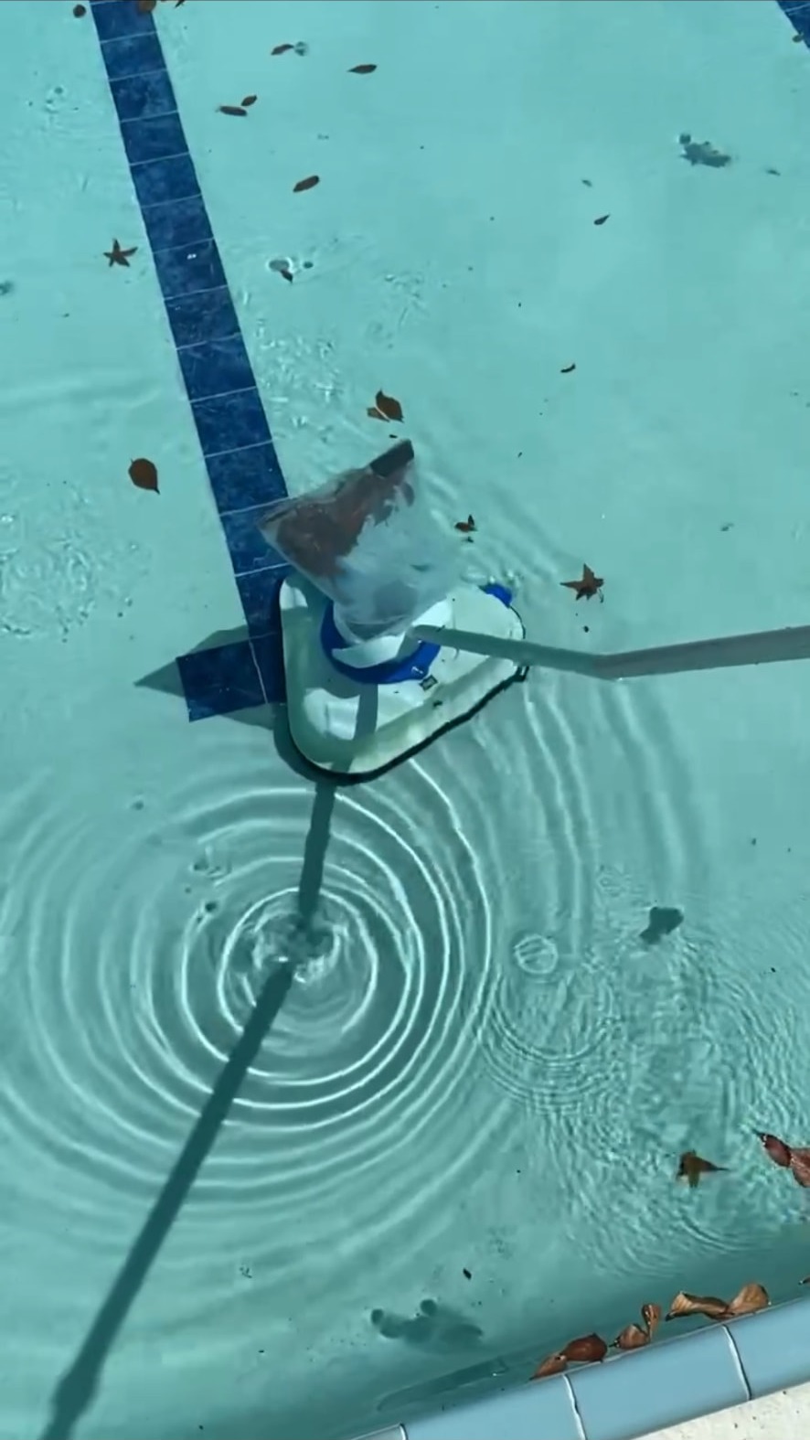Proof-of-concept pool vacuum pulling leaves off the pool floor into a clear collection bag