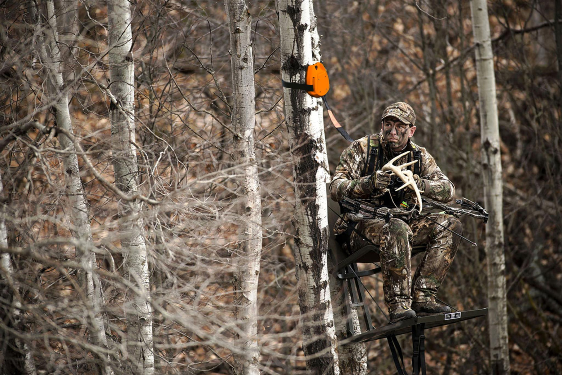 Bow hunter seated in an elevated tree stand connected to a Fall Arrest device strapped to the tree trunk above him