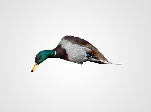 Hunters Product