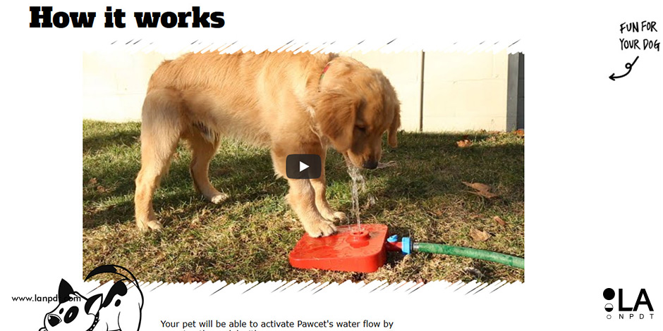 pawcet, pet product development, pet product website, new product for dogs in the USA.