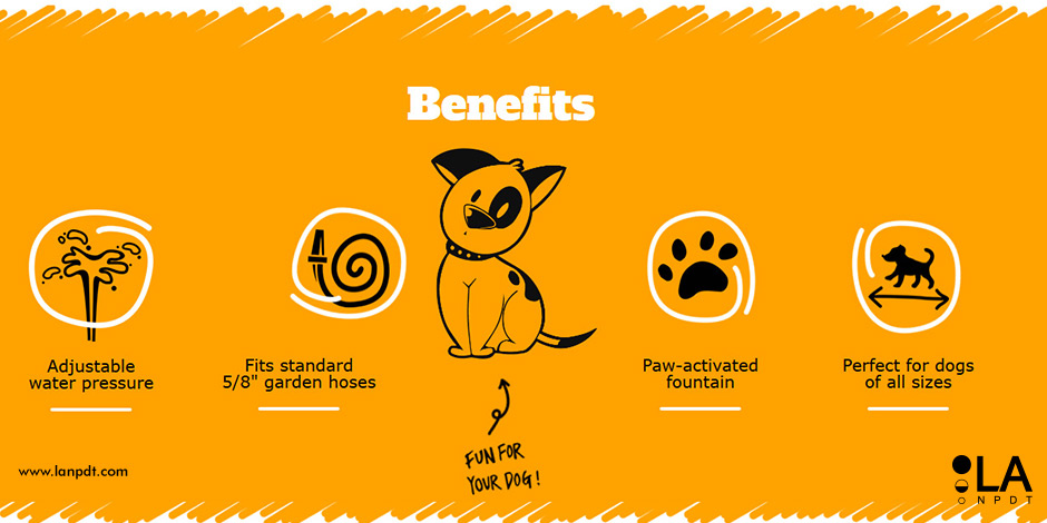 pawcet, pet product development, pet product website, new product development for dogs.
