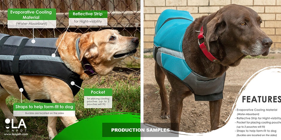 product development company, Kool Jack Cooling Dog Vest, Pet product design, Pet products, Pet Product, LA NPDT