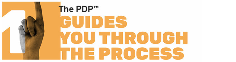 new product development plan, product design plan,