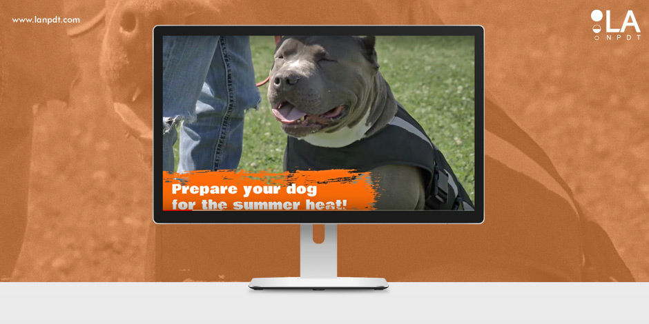 Kool Jack Cooling Dog Vest, Pet product design, Pet products, Pet Product, LA NPDT