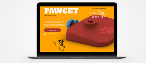 pawcet, original doggie fountain, pet product website, pet product development, never have a thirsty dog again?