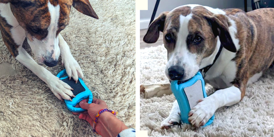 Design for Manufacturing and Assembly, Scratch Square, LA New Product Development Team