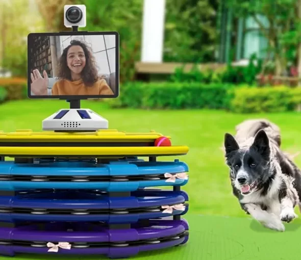 Perky Pets, Redefining, Dog Playtime, Concept Design, Prototyping, Video, LA NPDT
