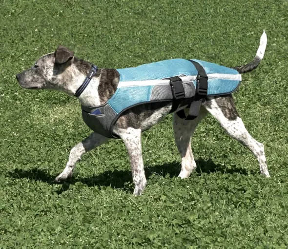 Kool Jack, Manufacturing, Marketing, Product Development, LA NPDT