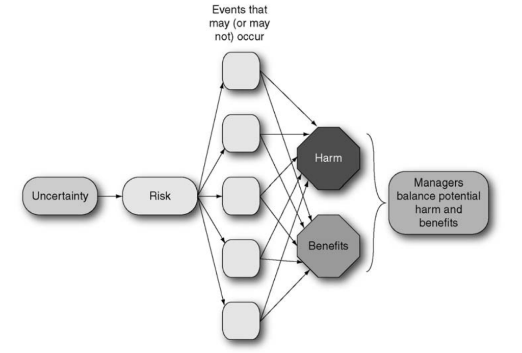 Navigating the Dual Outcomes of Risk