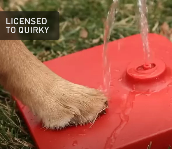 Pawcet, Web Development Services, Marketing, Visual Design, Website, La New Product Development Team