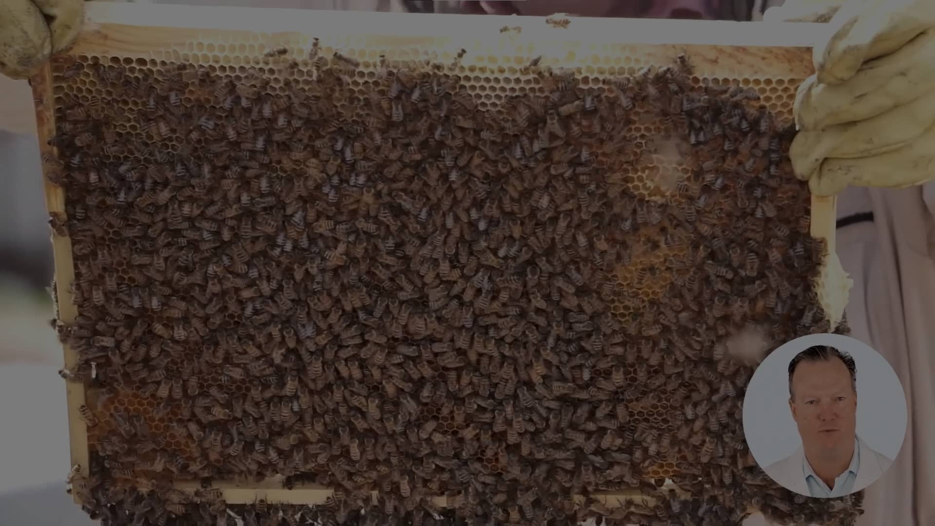 VTMS+, Beekeeper's Solutions, Behive, LA New Product Development Team