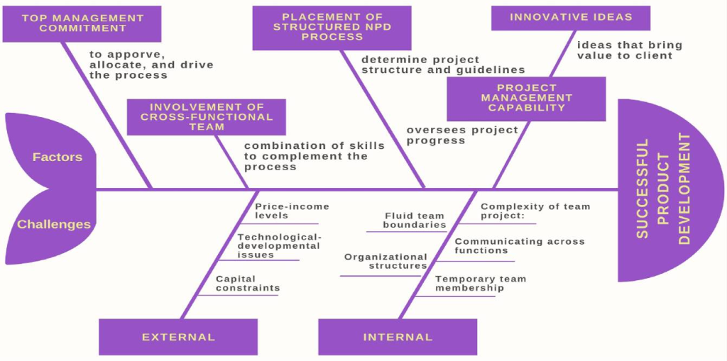 framework of factors and challenges for product development